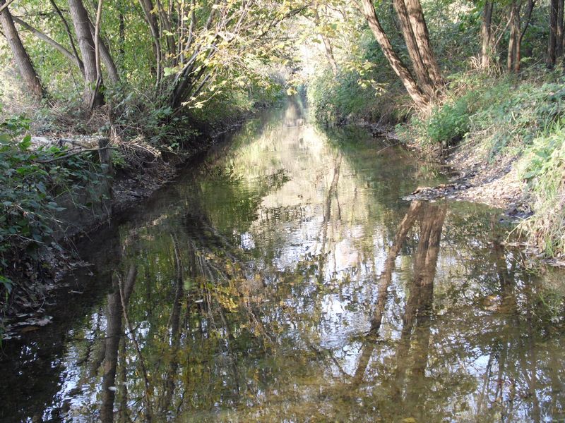 Un mondo riflesso...